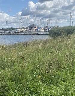 Natur pur in Haithabu