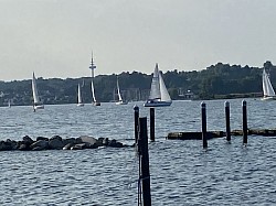 Segelwettstreit der Wikinger
